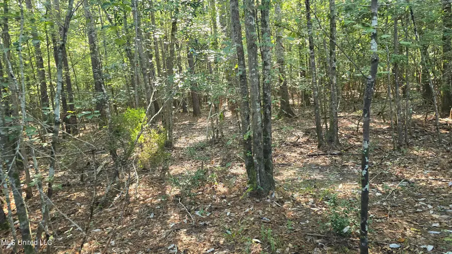 000 Davis Road, Purvis, MS 39475 - Image #2