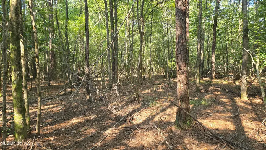 000 Davis Road, Purvis, MS 39475 - Image #3