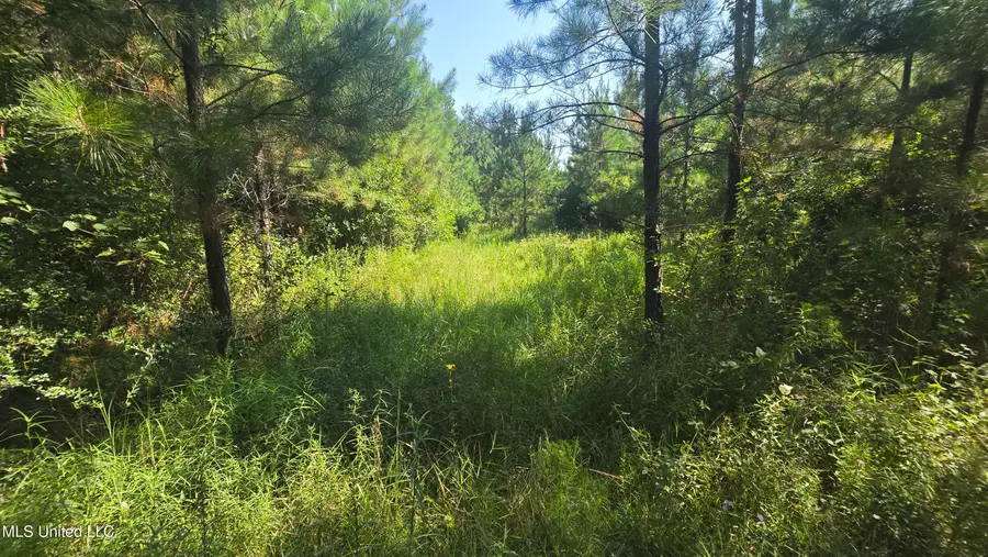 000 Davis Road, Purvis, MS 39475 - Image #2