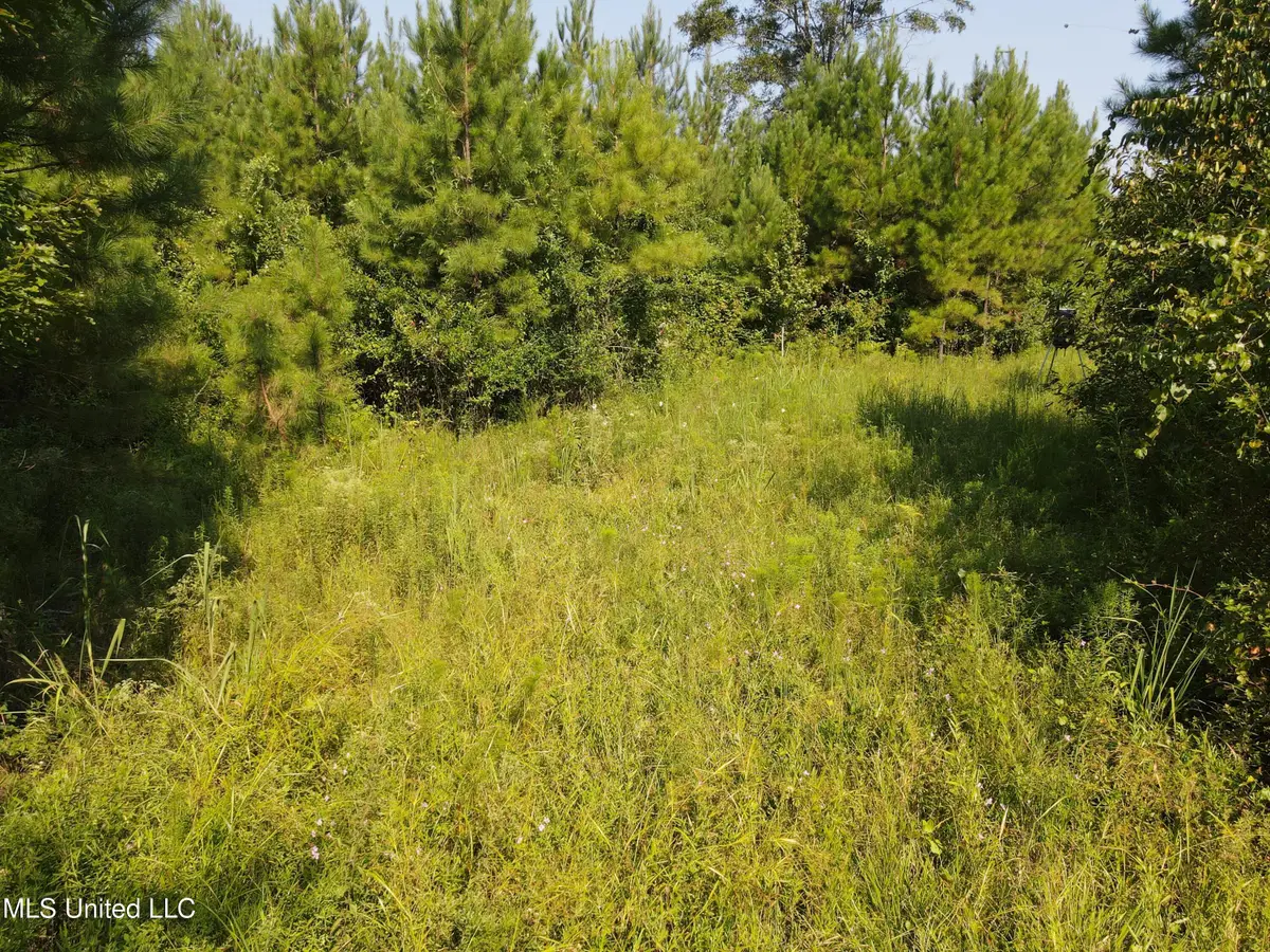 000 Davis Road, Purvis, MS 39475 - Image #1