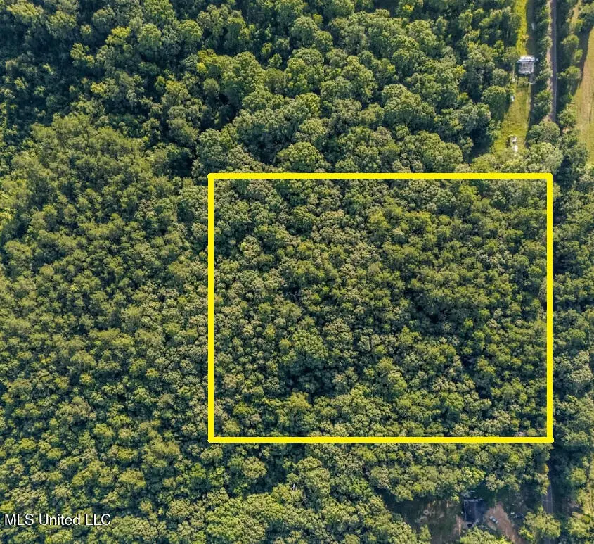 1510 Sulphur Springs Road, Camden, MS 39045 - Image #2