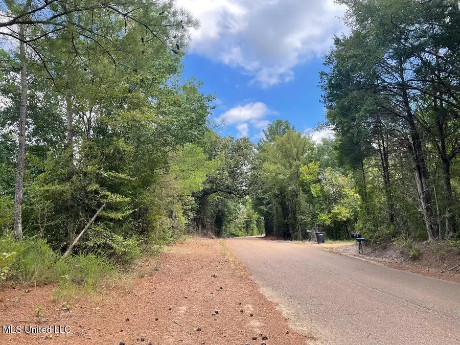 513 Brownlee Road, Sarah, MS 38665 - Image #3