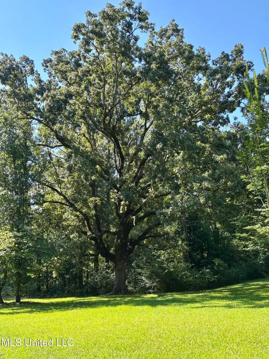 118 Pine Ridge Road, Florence, MS 39073 - Image #3