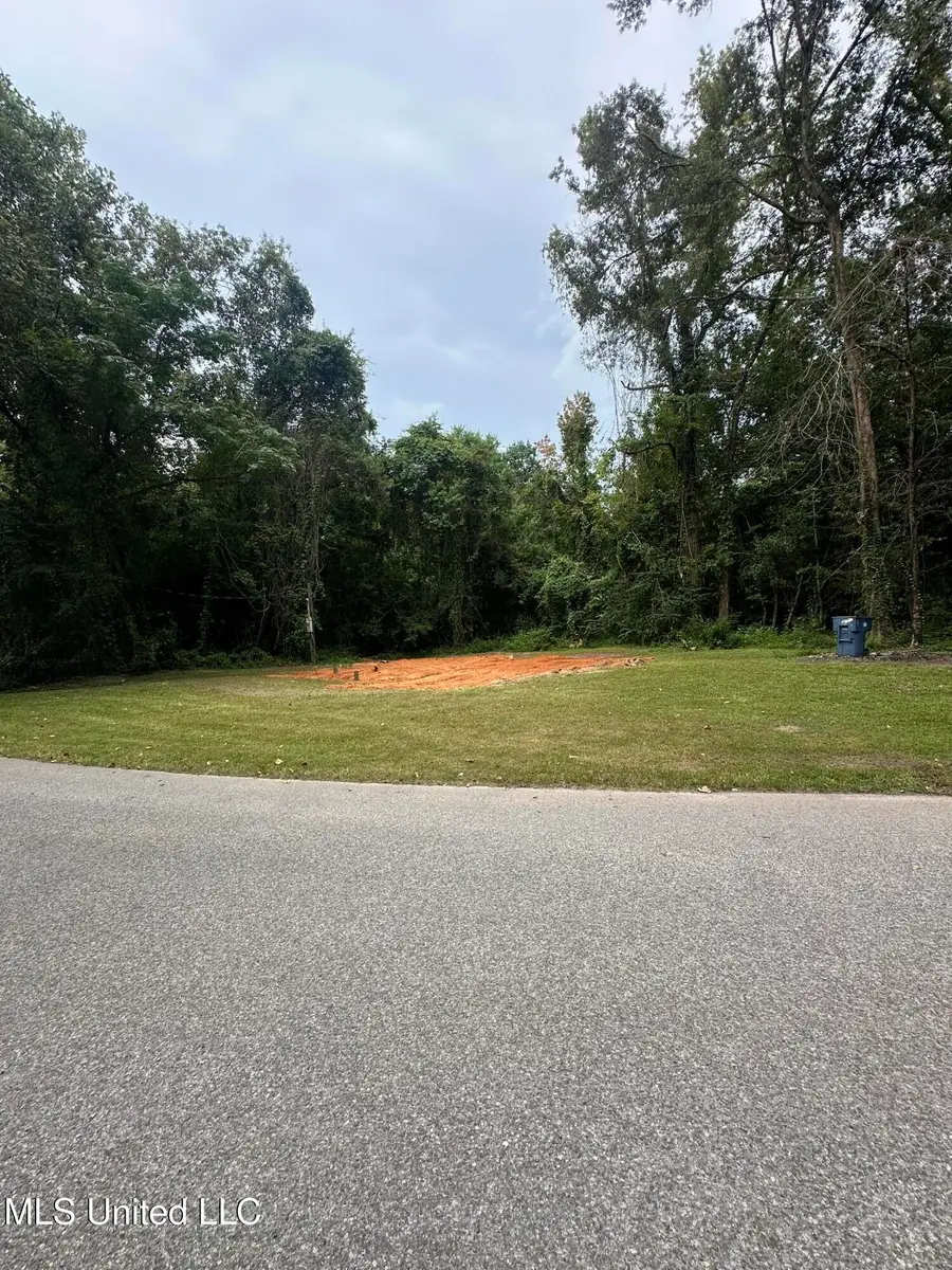 25112 Turps Drive, Lucedale, MS 39452 - Image #2