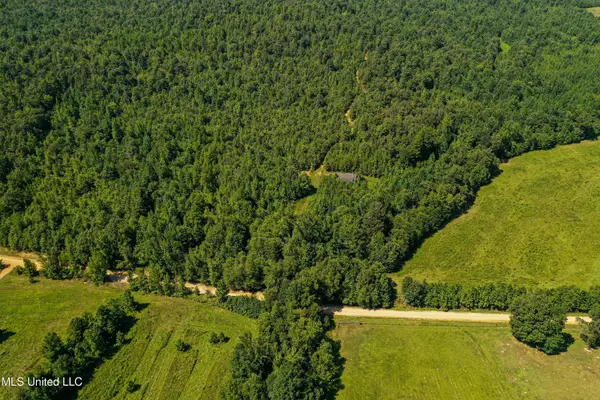 2295 Chapman Road, Falkner, MS 38629