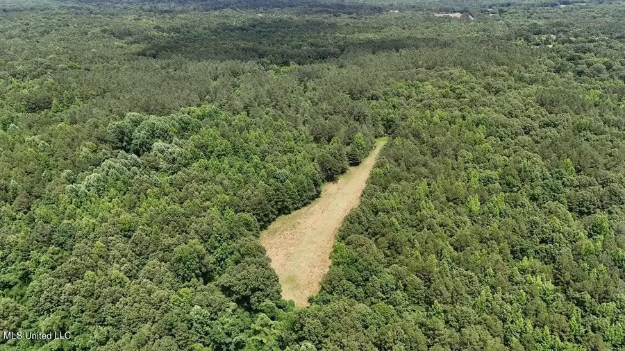 Hardaway Chapel Rd, Michigan City, MS 38647 - Image #3