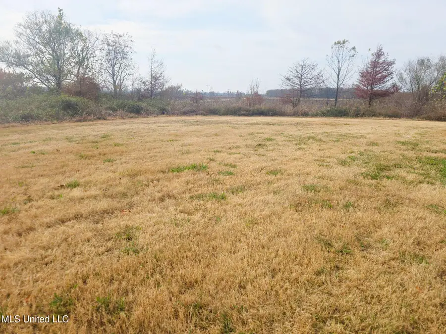 664 W County Line Road, Greenville, MS 38703 - Image #3