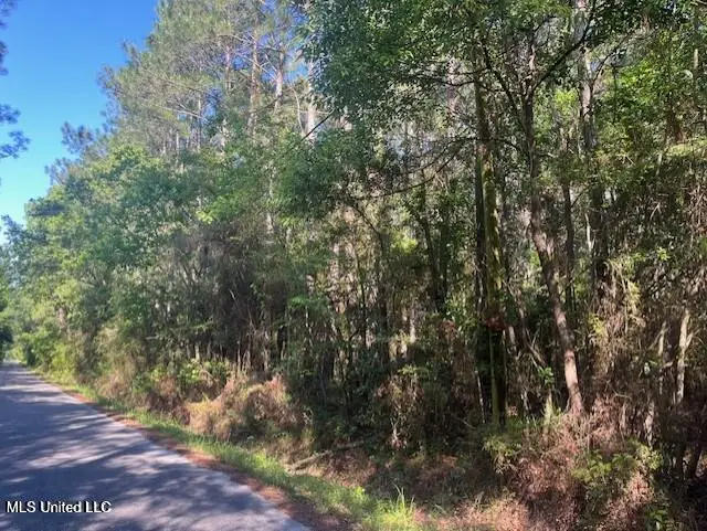Martin Young Road, Moss Point, MS 39562 - #2