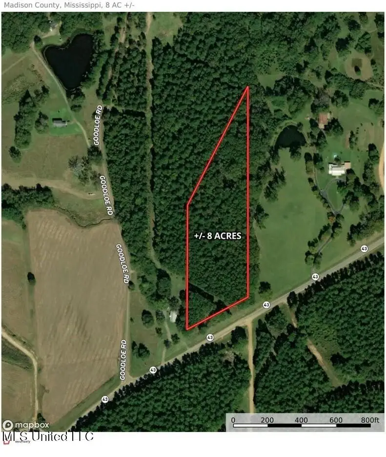 2435 Ms-43, Canton, MS 39046 - Image #2