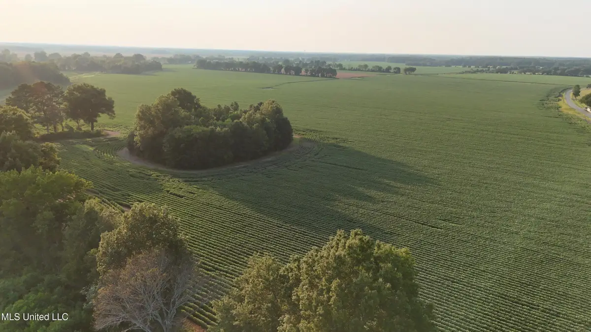 Airport Road, Morton, MS 39117 - Image #1