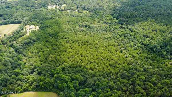 Lilliemae Lane, Poplarville, MS 39470