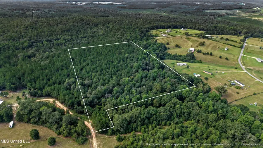 Lilliemae Lane, Poplarville, MS 39470 - Image #3