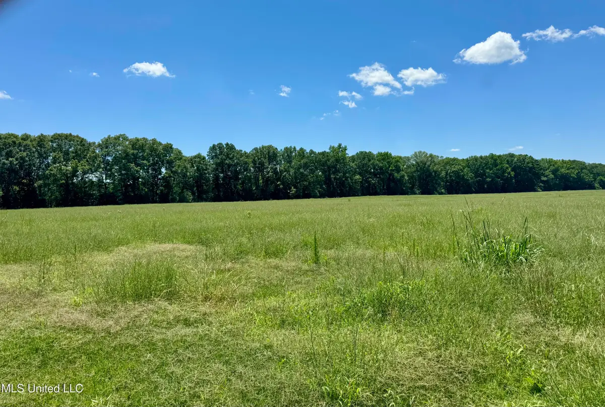 000001 Johnson Line Road, Bolton, MS 39041 - Image #1