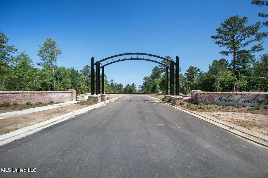 188 Crepe Myrtle Drive, Brandon, MS 39047 - #2