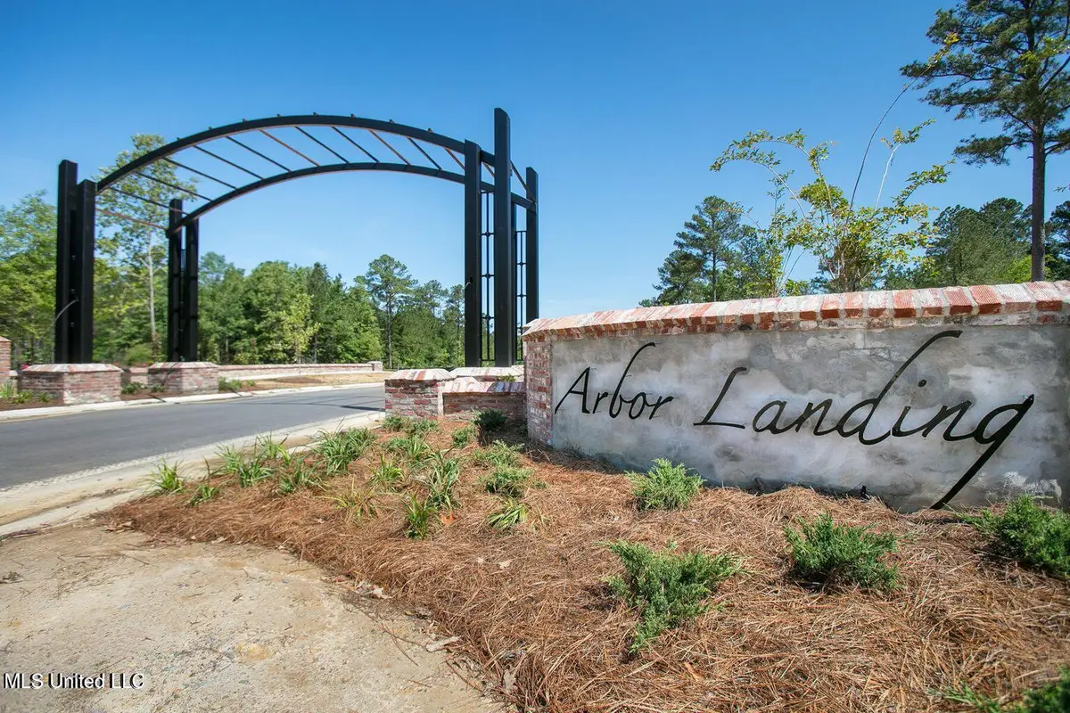 189 Crepe Myrtle Drive, Brandon, MS 39047 - #1