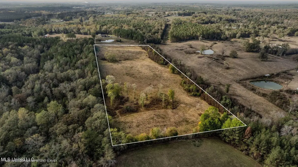 13.62 +/- Acres Jan's Road, Richton, MS 39476 - Image #1