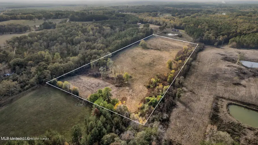 13.62 +/- Acres Jan's Road, Richton, MS 39476 - Image #2