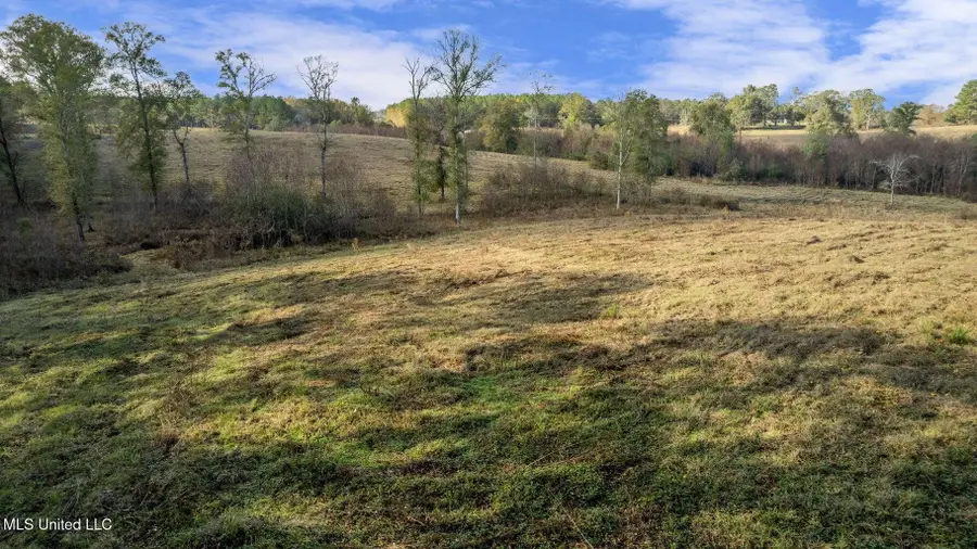 13.62 +/- Acres Jan's Road, Richton, MS 39476 - Image #3