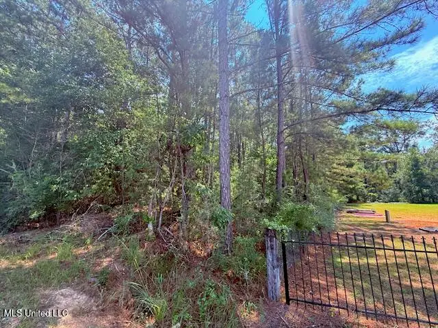 Brandon Bay Church Road, Tylertown, MS 39667 - Image #2