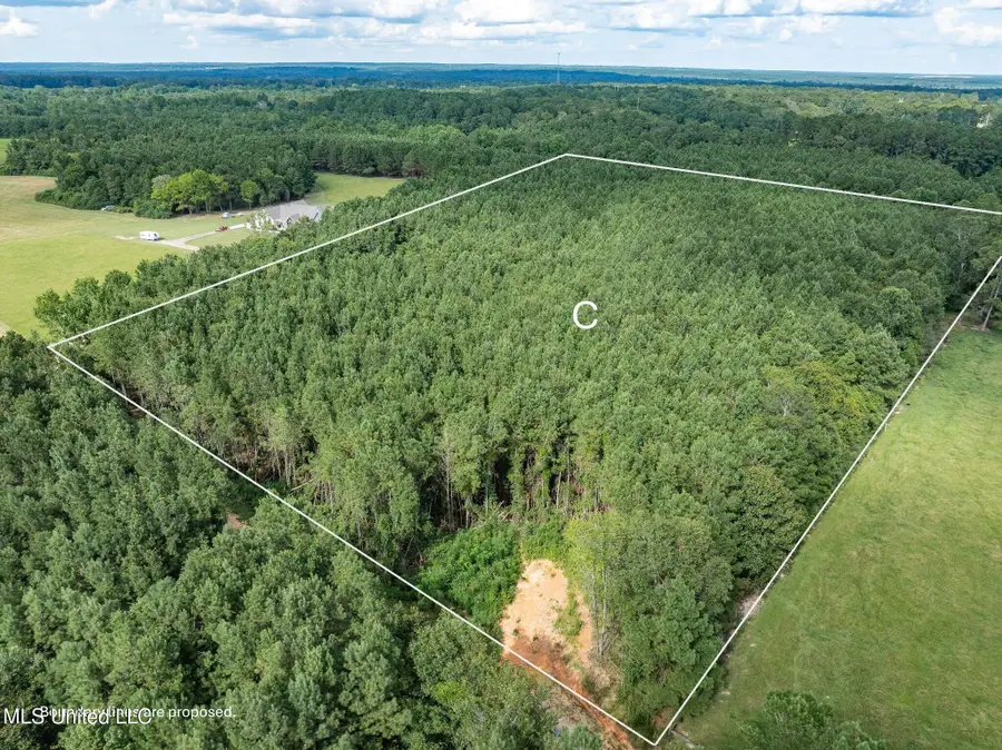 Parcel C J. Runnels Road, Petal, MS 39465 - Image #2