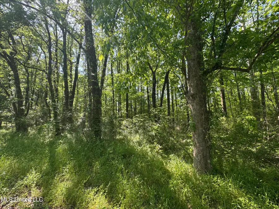 0001 Old Hwy 471, Brandon, MS 39042 - Image #3