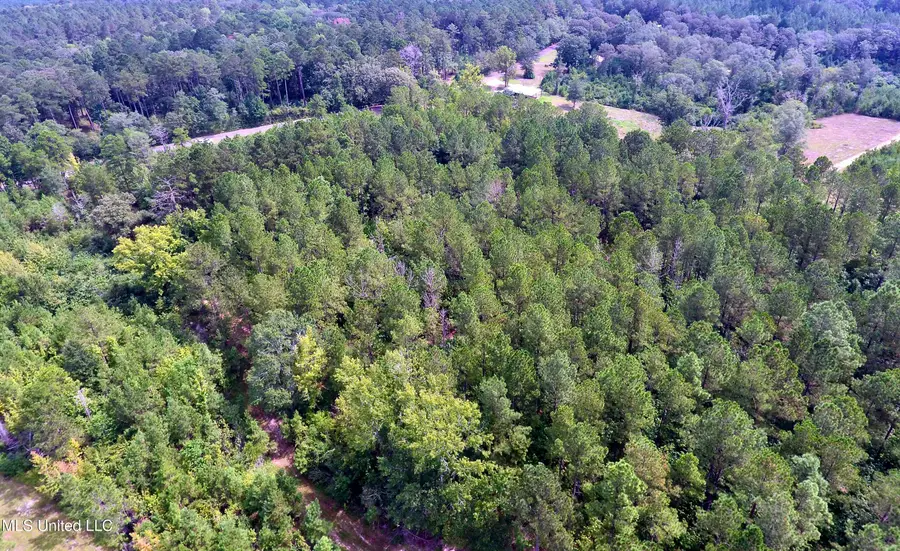 0 SE Gill Drive, Brookhaven, MS 39601 - Image #2