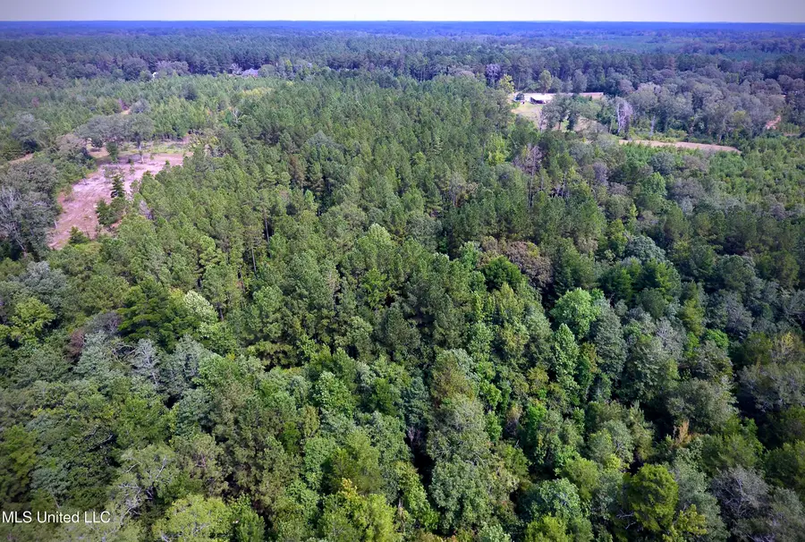 0 SE Gill Drive, Brookhaven, MS 39601 - Image #3