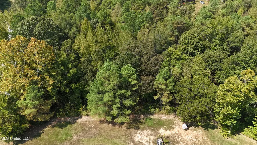 Wilkins Chapel, Holly Springs, MS 38635 - Image #3