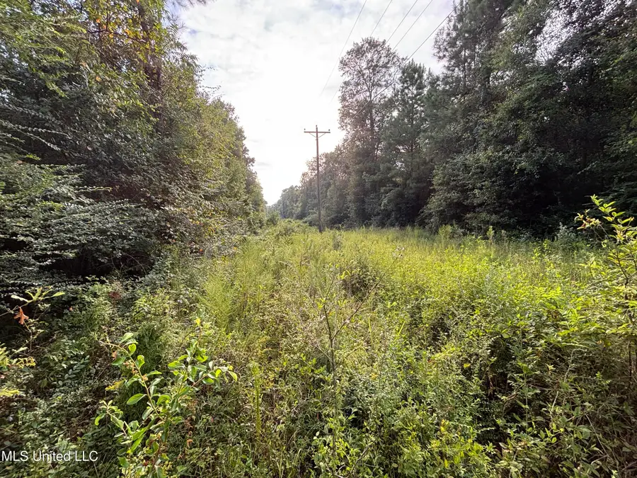 0 Burnt Bridge Road, Ellisville, MS 39437 - Image #2