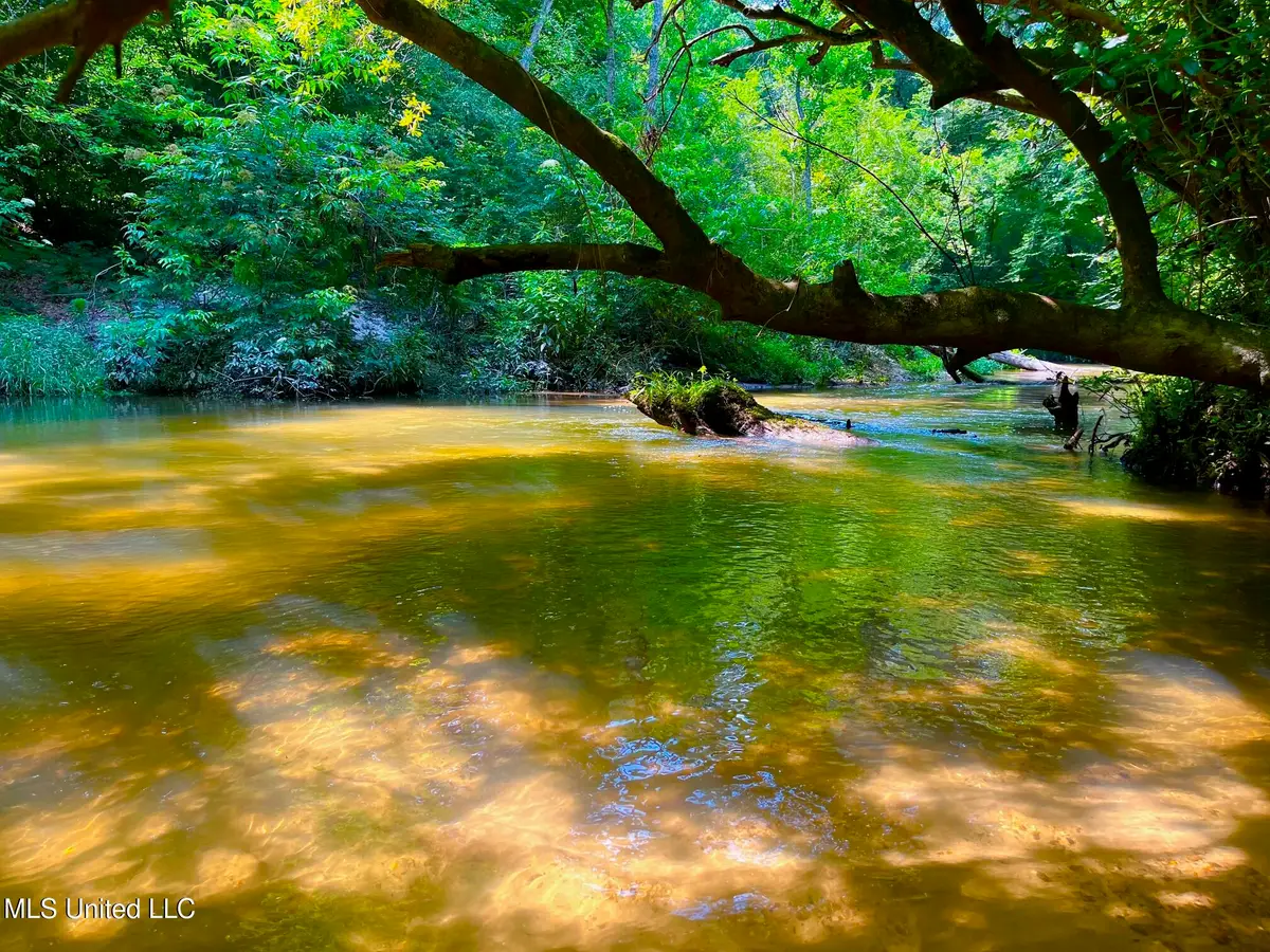 Twin Bridge Rd, Sandy Hook, MS 39478 - Image #1