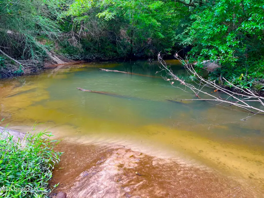 Twin Bridge Rd, Sandy Hook, MS 39478 - Image #3