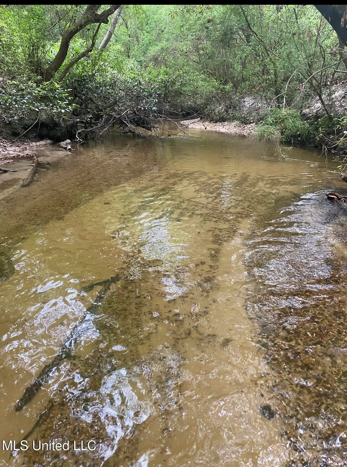 10.35 Ac Barton Agricola Road, Lucedale, MS 39452 - Image #1