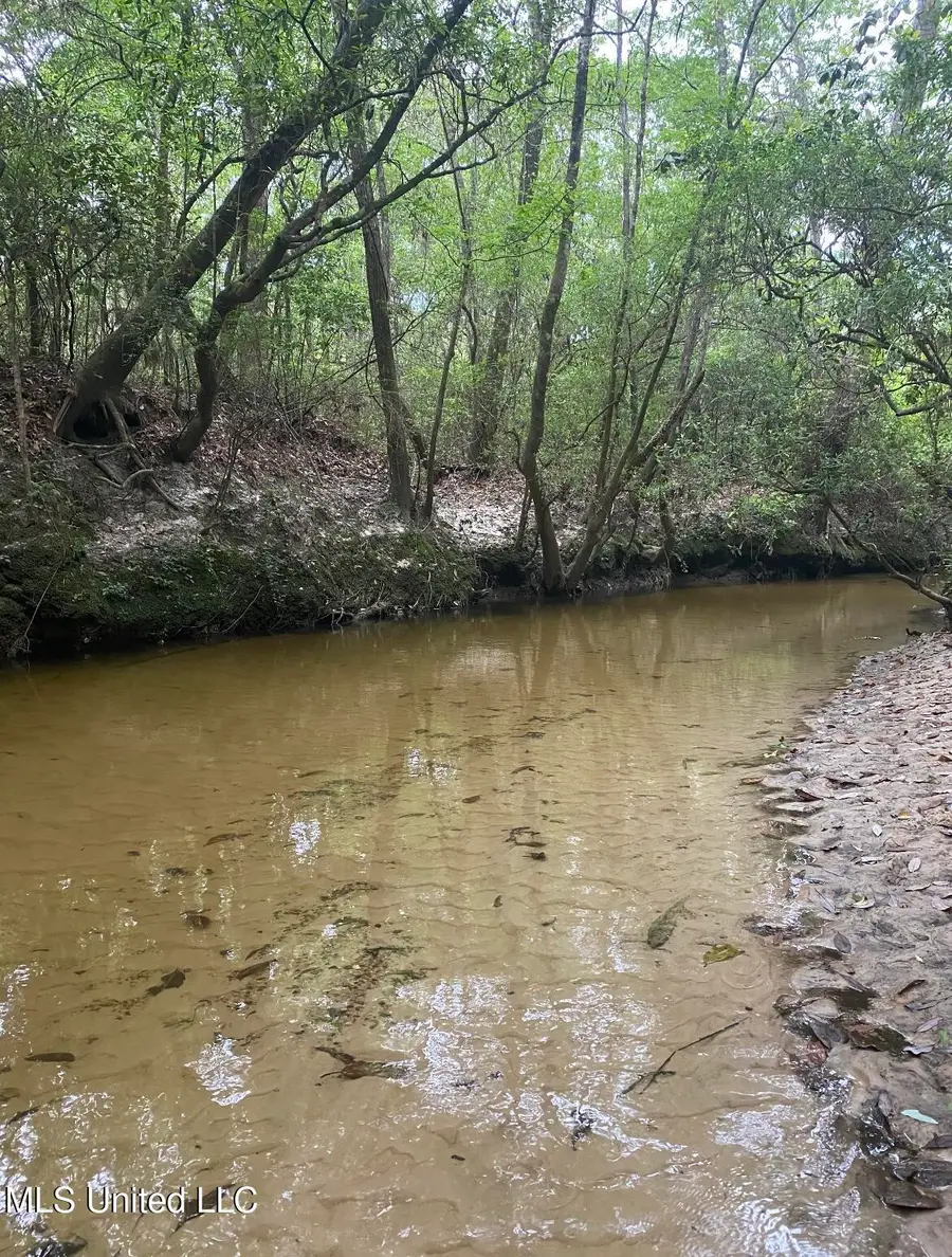 10.35 Ac Barton Agricola Road, Lucedale, MS 39452 - Image #2