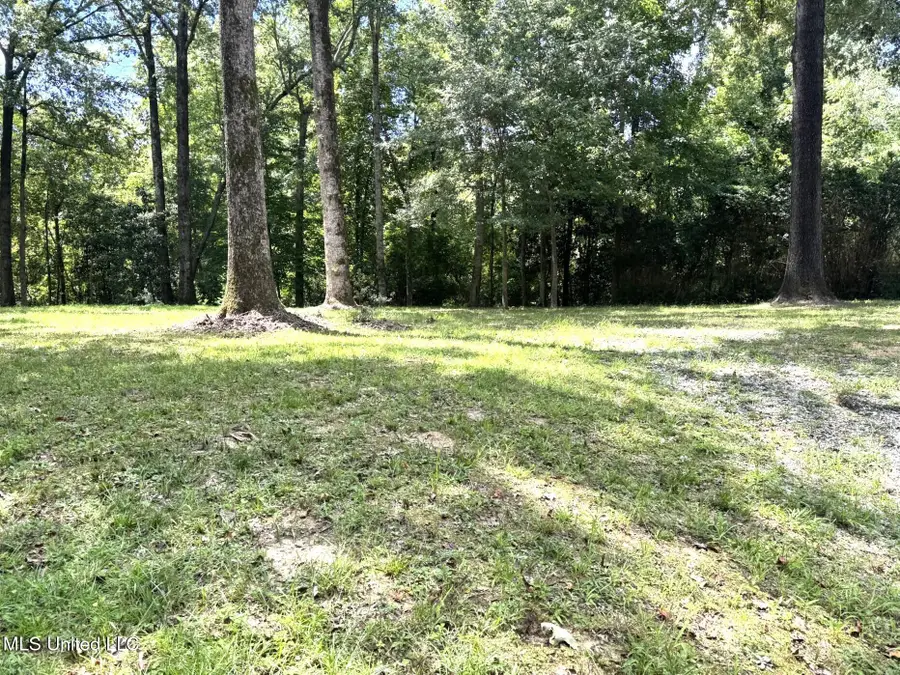 46 Fairway Drive, Natchez, MS 39120 - Image #2