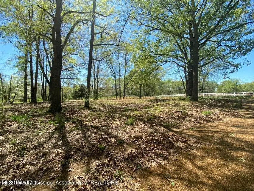 568 S Laughter Road, Hernando, MS 38632 - Image #2
