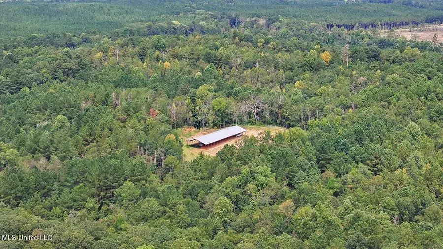 255 Everett Church Road, Mendenhall, MS 39114 - Image #2