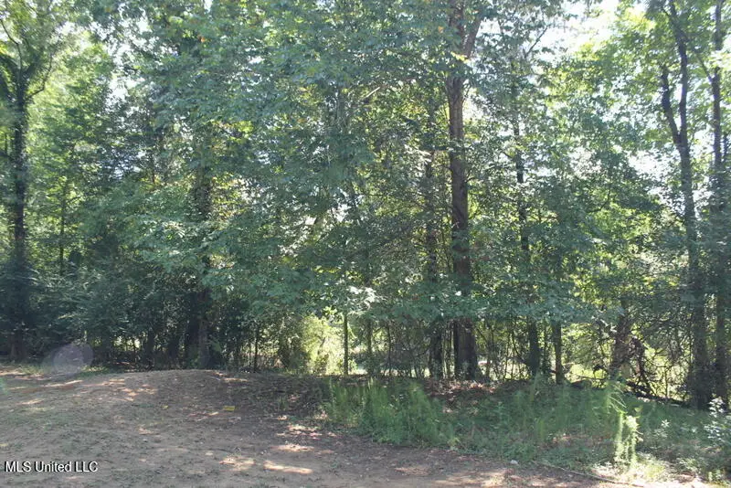 145 Annandale Golf Club Dr 'b' Drive, Madison, MS 39110 - Image #2