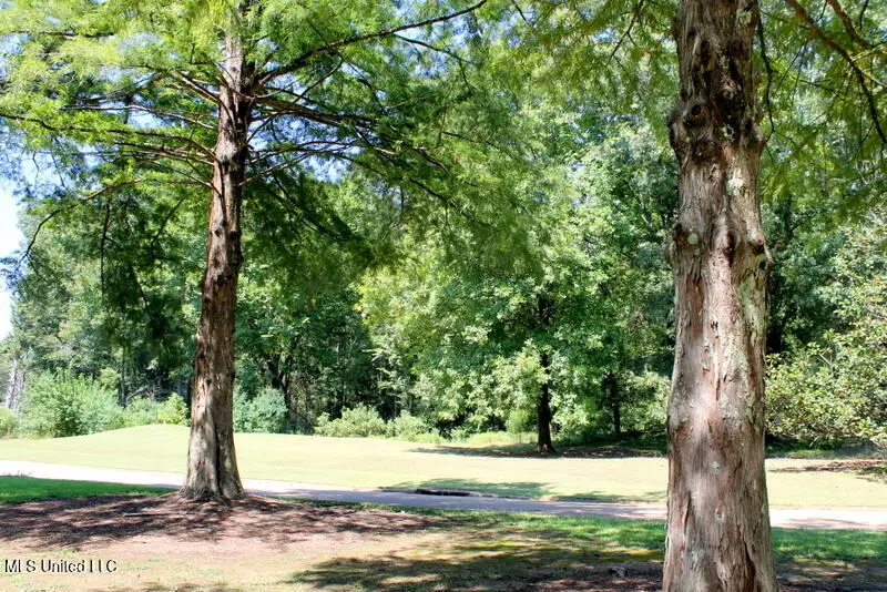 145 Annandale Golf Club Dr 'b' Drive, Madison, MS 39110 - Image #3