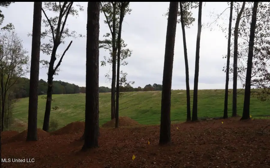 0 Westline Lots Drive, Madison, MS 39110 - Image #3