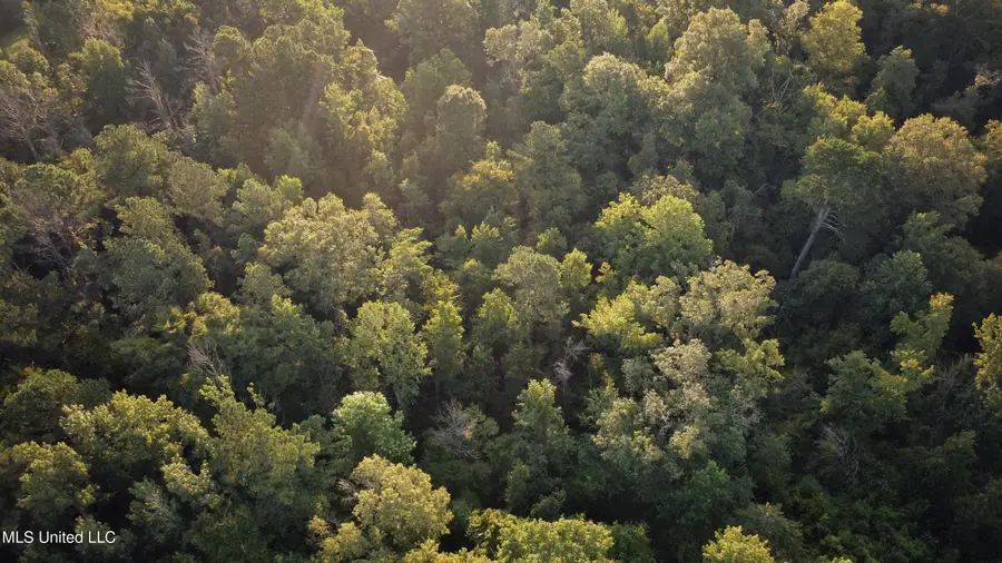 Sumrall Road, Crystal Springs, MS 39059 - Image #3