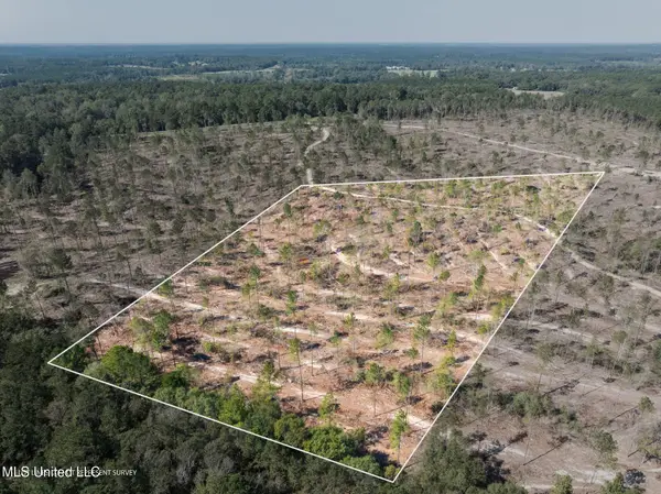 8.24 +/- Acres Noel Townsend Road, Seminary, MS 39479