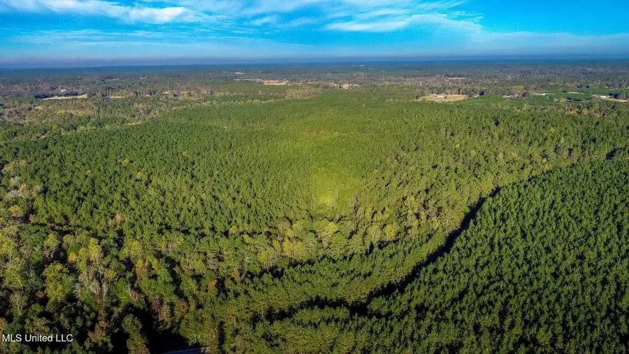 28 Acres Porter Hudson Road, Sumrall, MS 39482 - Image #2