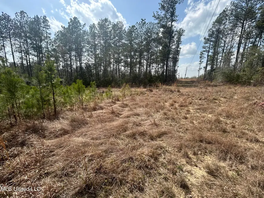 00 Jordan Hill Road, Carson, MS 39427 - Image #3