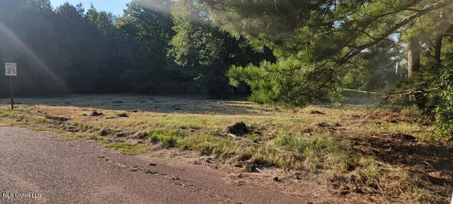 0 Meadow, Byram, MS 39272 - Image #3