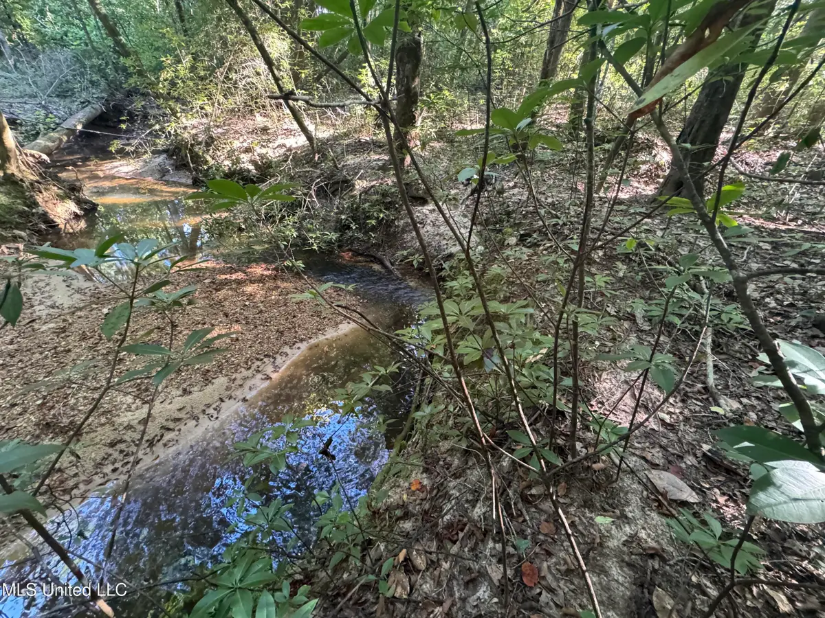 Norman Trail Nw, Brookhaven, MS 39601 - Image #1