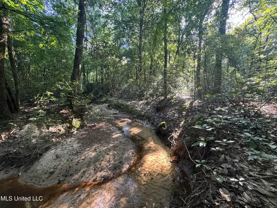 Norman Trail Nw, Brookhaven, MS 39601 - Image #2