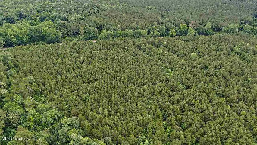 02 Highway 28, Mize, MS 39116 - Image #1