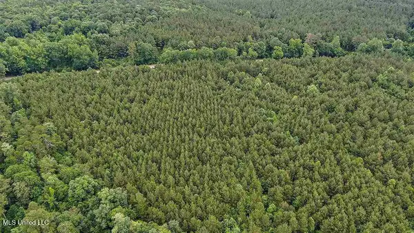 02 Highway 28, Mize, MS 39116