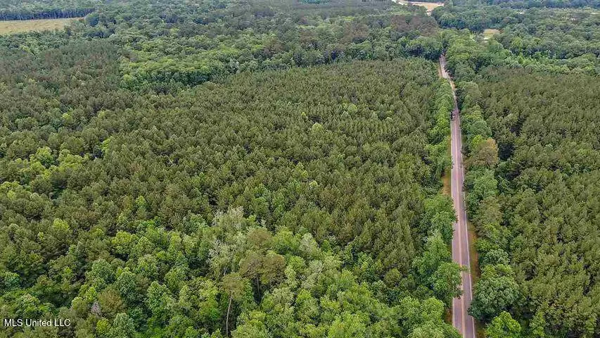 02 Highway 28, Mize, MS 39116 - Image #3