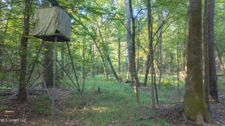 N Greensburg Road, Liberty, MS 39645 - Image #2